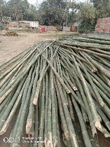 Nursery Bamboo Poles
