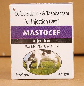 Mastocef Veterinary Injection