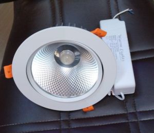 Led Cob Light