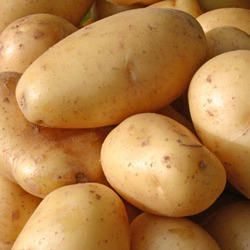 3797 potato