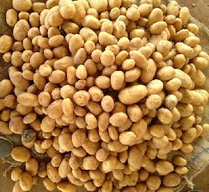 Khyati Potato