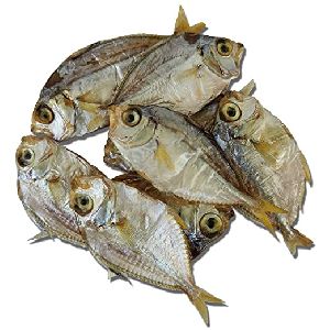 Dry Fish