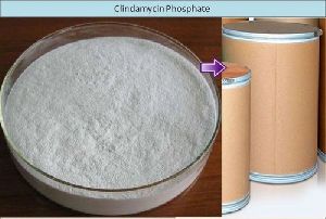 Clindamycin Phosphate Powder
