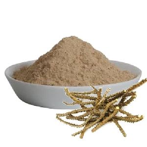 Giloy Powder