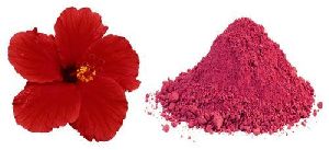 Hibiscus Powder