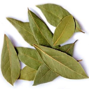 Bay Leaves