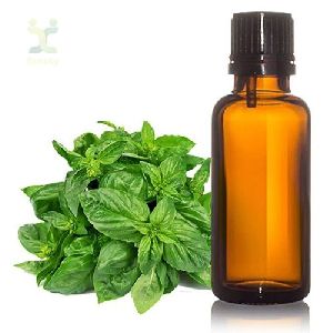 Holy Basil Oil