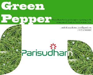 Parisudham Green Pepper