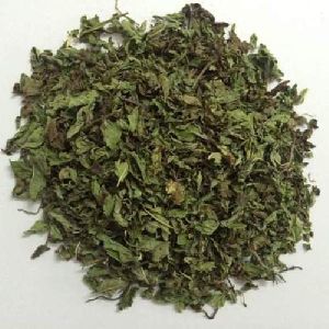 Dried Mint Leaves