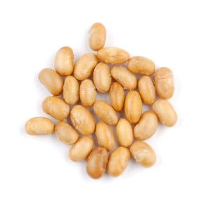 Soy Nuts
