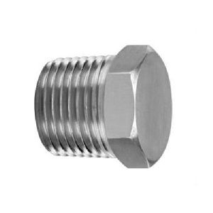 Stainless Steel Pipe Plug