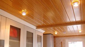PVC Ceilings Panels
