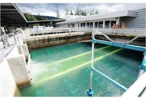 raw water treatment plant