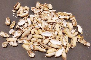 Groundnut Shell