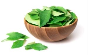 Curry Leaves