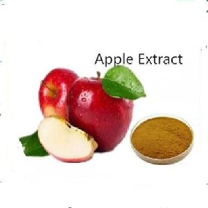 apple extract powder