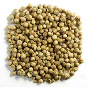 dry coriander seeds