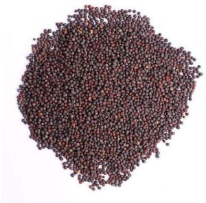 Black Mustard Seeds