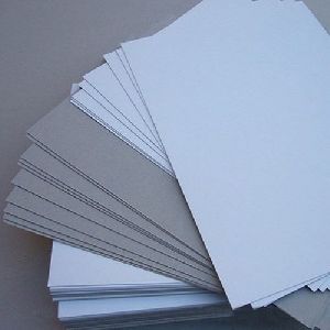 Duplex Paper