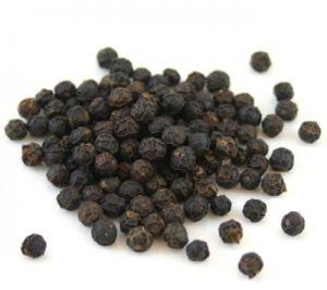 Black Pepper Seeds