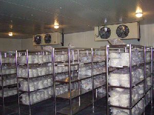 Frozen Meat Storage Room