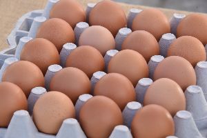 Brown Eggs Exports