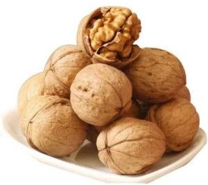 high quality walnuts