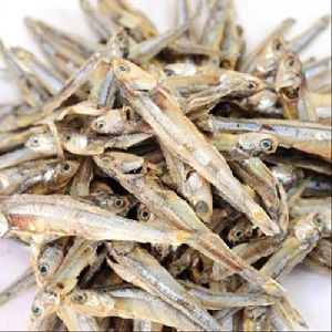 Dried Anchovy