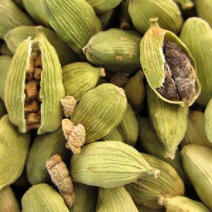 Cardamom