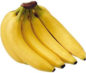 Cavendish Banana