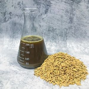 Crude Rice Bran Oil