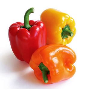 Fresh Bell Pepper