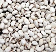 High Quality White Kidney Beans