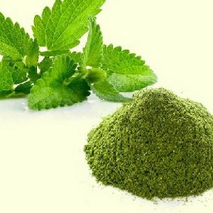 Mint Leaves Powder