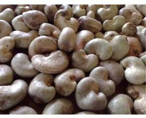 Raw Cashew Nuts