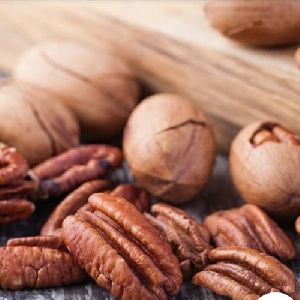 Top Quality of Pecan nuts