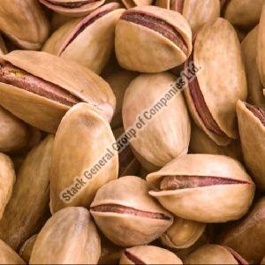 Bulk Turkish Pistachio Nut