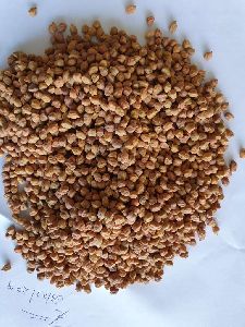 Brown Chickpeas