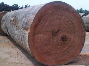 Teak Logs