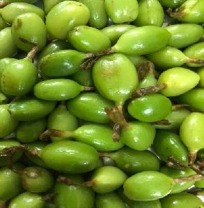 Fresh Green Cardamom