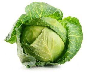 Organic Cabbage