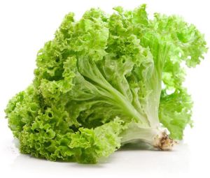 organic lettuce