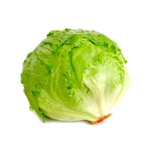 Fresh Iceberg Lettuce