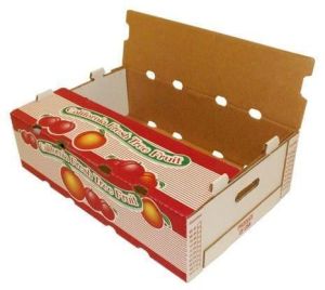 custom printed corrugated box