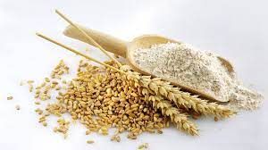 Wheat Flour