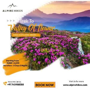 Valley Of Flowers Trekking Tour Services