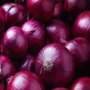 Onion