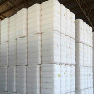 Raw Cotton Bales