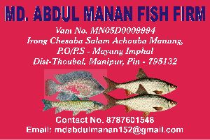 Fish and fish feed like mustard oil cake available