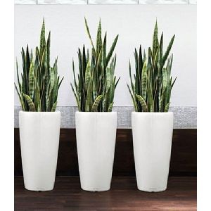 Frp Planters